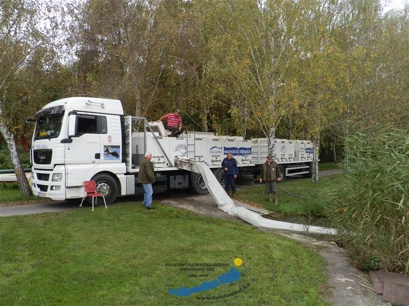 Haltelepítési beszámoló és előrejelzés